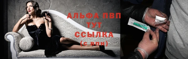 дурь Новодвинск