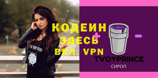 дурь Новодвинск