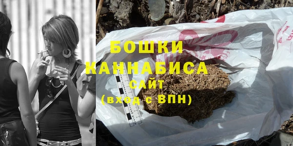 шишки Новокубанск