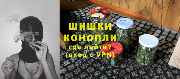 дурь Новодвинск