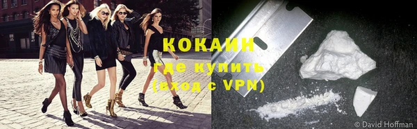 шишки Новокубанск