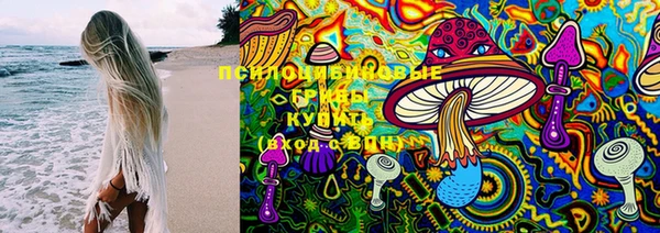 дурь Новодвинск