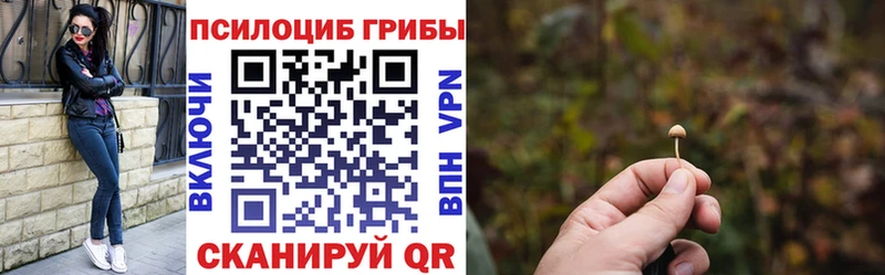 Купить закладки  Шлиссельбург  Галлюциногенные грибы прущие грибы 